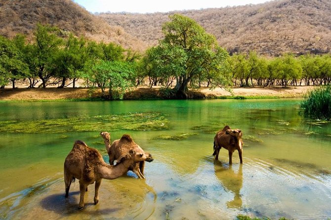 Salalah