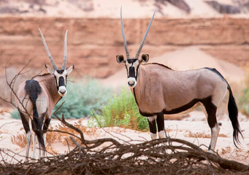 Natural Wonders of Oman