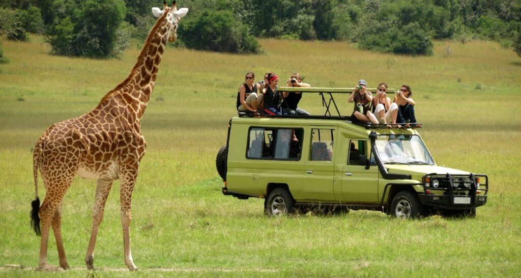 Cultural Discovery & Safari Kenya Tour Package