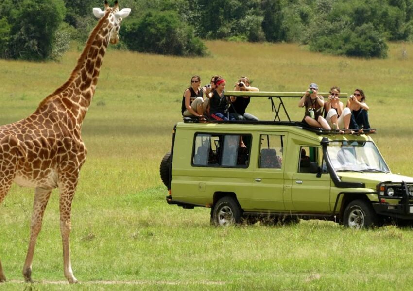 Cultural Discovery & Safari Kenya Tour Package