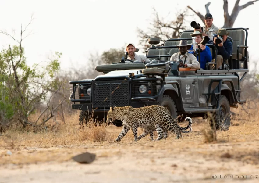 Kenya Classic Safari Tour Package