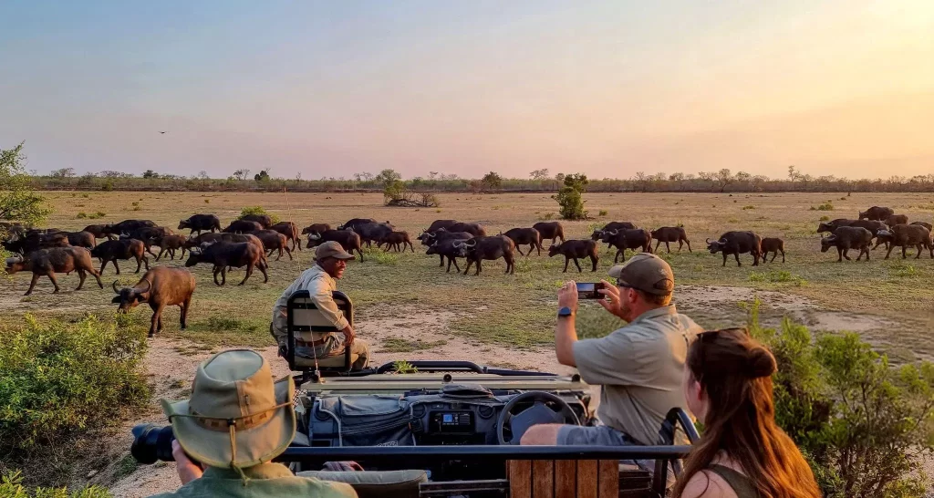 Kenya Family Explorer
