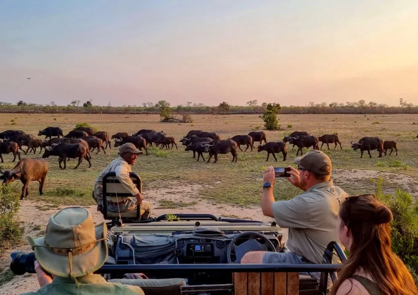Kenya Family Explorer