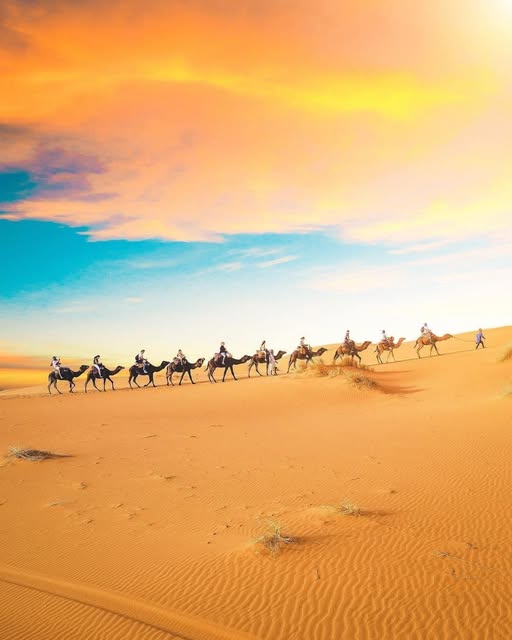 Adventure Packages