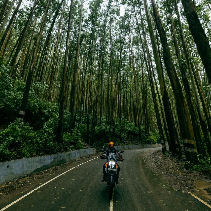 Kerala Backwater and Spice Route Motorcycle Tour
