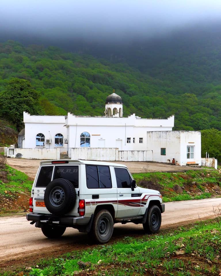 Her hikes vary from gentle walks suitable for families to challenging climbs requiring solid fitness levels. Some traverse mountain ridges offering panoramic views across Dhofar's varied landscapes. Others follow valley floors through areas of surprising biodiversity, where endemic plant species create ecosystems found nowhere else on Earth. During khareef, the mists and drizzle create atmospheric conditions that transform these hikes into almost otherworldly experiences—you're hiking through clouds, with visibility sometimes reduced to just a few meters, lending an air of mystery and adventure. Kherzad also facilitates interactions with local craftswomen who maintain traditional arts. Dhofari women produce distinctive woven goods, pottery, and textiles using techniques passed through generations. These sessions take place in private homes, offering insights into domestic life rarely accessible to outsiders. You'll learn about the plants used to create natural dyes, watch the intricate process of weaving on traditional looms, and hear about the cultural significance of patterns and designs. These crafts aren't produced for tourist markets—they're functional items made for family use—which makes the opportunity to observe their creation particularly valuable. For travelers interested in maritime experiences, Kherzad arranges excursions along Dhofar's coastline. The Arabian Sea here remains remarkably pristine, with fishing communities still practicing traditional methods. Boat trips might include observing fishing techniques, visiting coastal caves accessible only by water, or simply experiencing the dramatic coastline from offshore perspectives. During certain seasons, dolphin pods frequent these waters, and whale sharks—gentle giants that pose no threat to humans—occasionally appear.