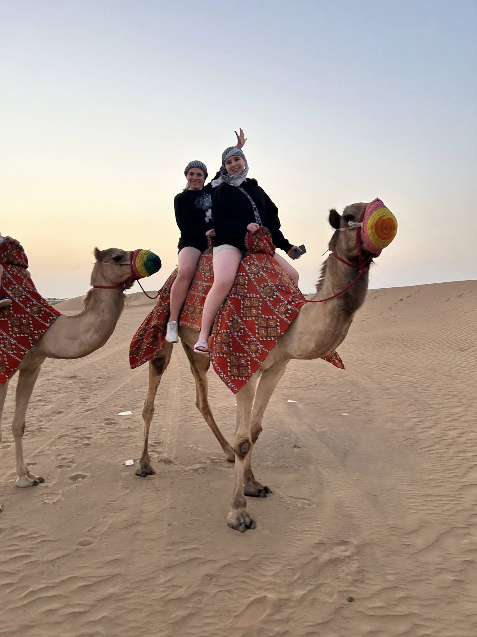 camel riding dubai