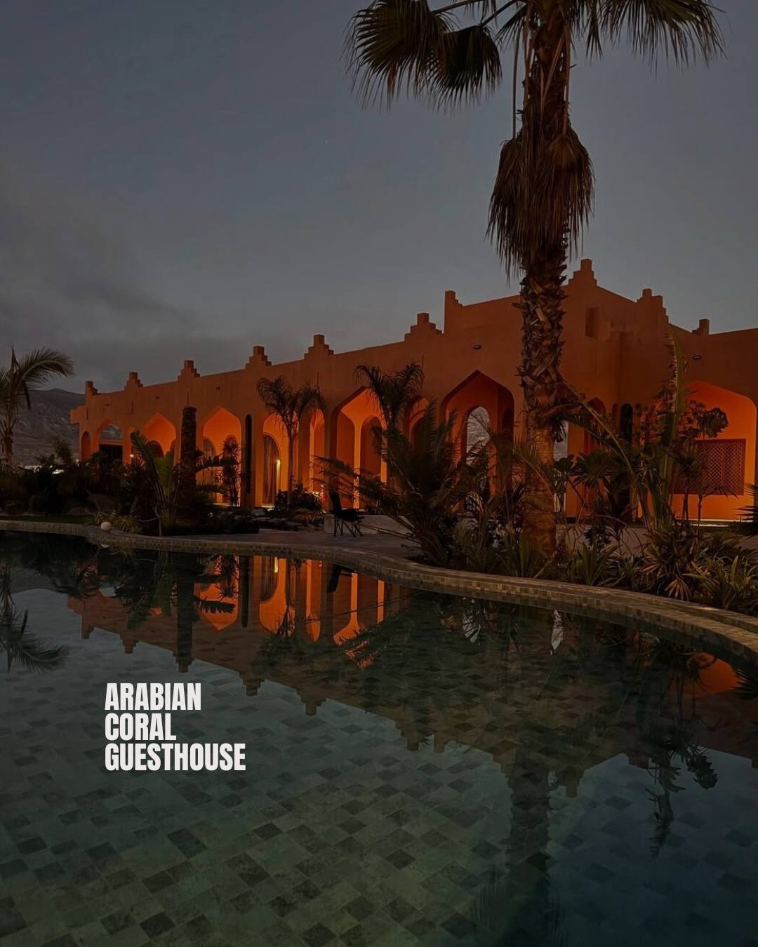 The Family Discovery Tour